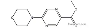 Molecular Structure of 1017604-09-9 (Methyl 5-(4-morpholinyl)-2-pyrazinecarboxylate)